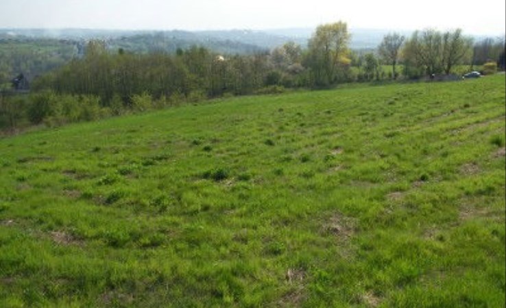 działka na sprzedaż - Kraków, Swoszowice, Jerzego Kuryłowicza