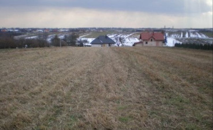 działka na sprzedaż - Skała (gw), Szczodrkowice